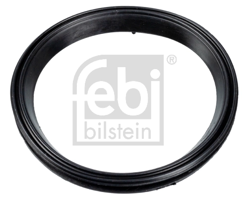 Gasket, timing case cover